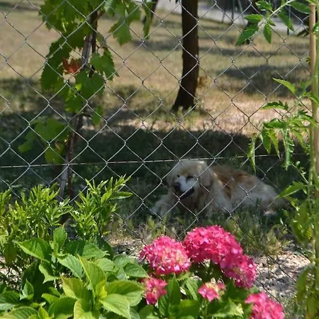 With A Parking Space Murine, - 14994 Umag