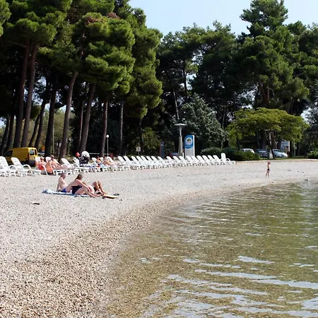 With A Parking Space Murine, - 14994 *